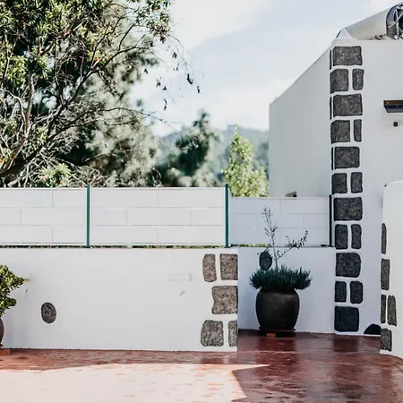 Kiko 2 Icod De Los Vinos